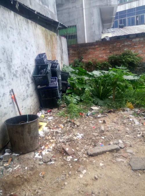 貴州家譜酒歷史傳承與品牌價值提升